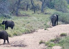 Garonga